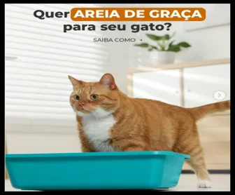 gato laranja e branco em uma caixa de areia azul com promoção de areia gratuita da Cobasi ao fundo