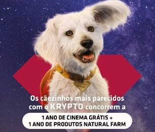 Cão fantasiado como Krypto com capa vermelha ao lado de balde de pipoca e cartaz do filme Superman 2025, promovendo o Concurso Cãosplay da Cinesystem.