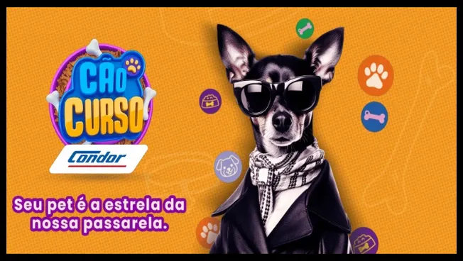 Imagem promocional do Cãocurso Pet Condor 2025, mostrando um cão pequeno de pelagem preta com óculos escuros e lenço xadrez, em fundo laranja com ícones de patinhas e ossos. O logotipo do evento e o slogan “Seu pet é a estrela da nossa passarela” aparecem à esquerda, destacando a oportunidade de inscrição gratuita e a premiação de até R$ 1.000.