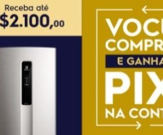 Imagem promocional da Black Friday Electrolux 2024. A arte destaca os valores de cashback disponíveis (até R$ 2.100) e produtos elegíveis, como refrigeradores, air fryers e lavadoras. A imagem também exibe o logo da Electrolux e mensagens de incentivo para participar da promoção.