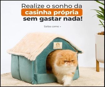 Imagem promocional vibrante da campanha “Seguidor Premiado – Casinha Chic” da Cobasi, exibindo uma casinha estilizada para pets em cores verde e rosa, com elementos gráficos que remetem ao Instagram e ao universo dos animais, incentivando os seguidores a participar da promoção.