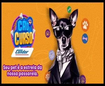 Cãocurso Condor 2025 – cachorro estiloso de óculos escuros e lenço, com slogan “Seu pet é a estrela da nossa passarela”.